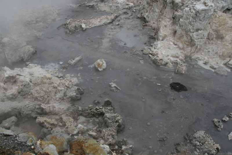 Nieuw-Zeeland 2011 - 0596